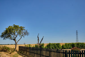 Photo 19- click for photo gallery